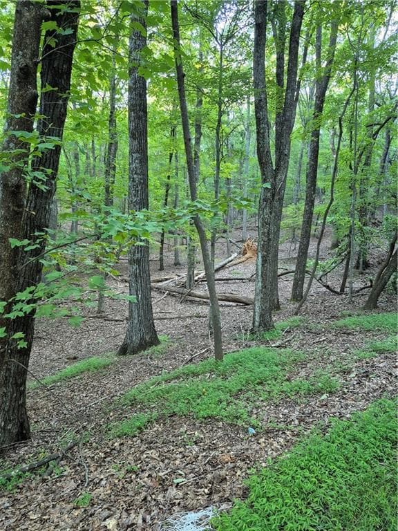 single family residence for sale at 263 Wake Robin, Big Canoe, GA 30143