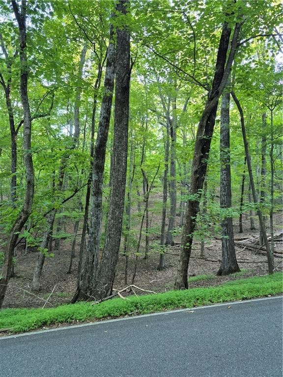 single family residence for sale at 263 Wake Robin, Big Canoe, GA 30143 — photo 2