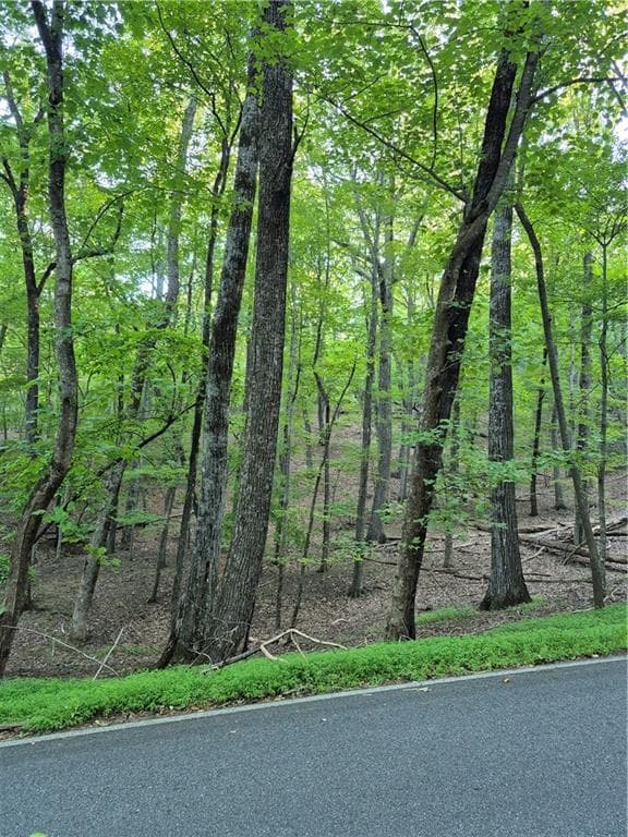 single family residence for sale at 263 Wake Robin, Big Canoe, GA 30143 — photo 3