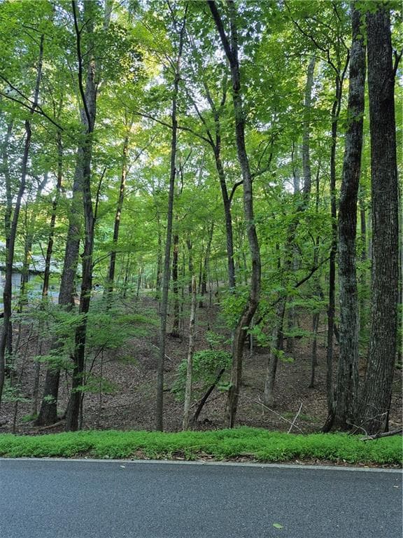 single family residence for sale at 263 Wake Robin, Big Canoe, GA 30143 — photo 4