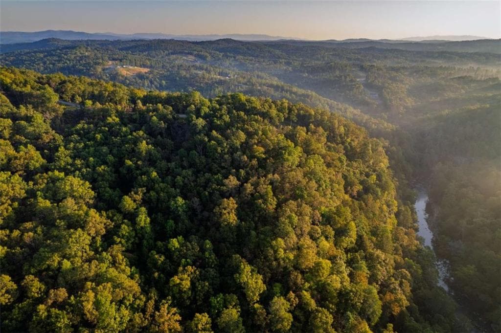 single family residence for sale at LT 290 Anglers Ridge Road, Talking Rock, GA 30175 — photo 5