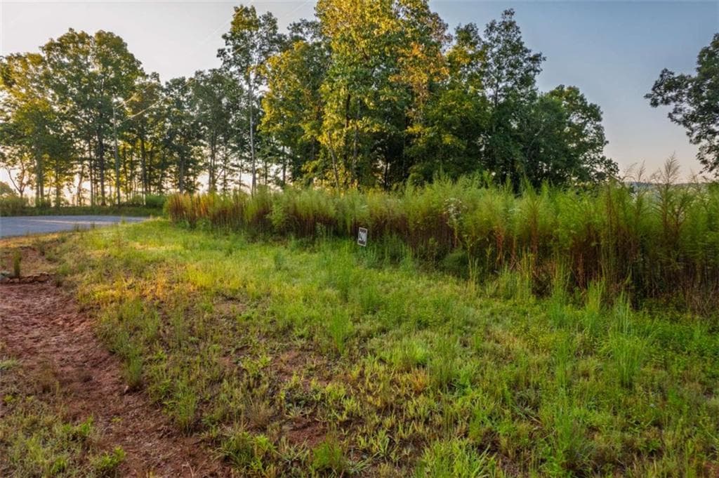 single family residence for sale at LT 290 Anglers Ridge Road, Talking Rock, GA 30175 — photo 6