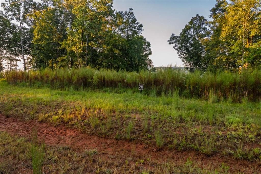 single family residence for sale at LT 290 Anglers Ridge Road, Talking Rock, GA 30175 — photo 7