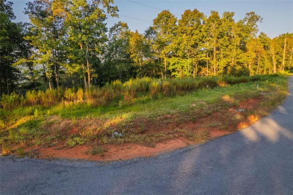 single family residence for sale at LT 290 Anglers Ridge Road, Talking Rock, GA 30175 — photo 8