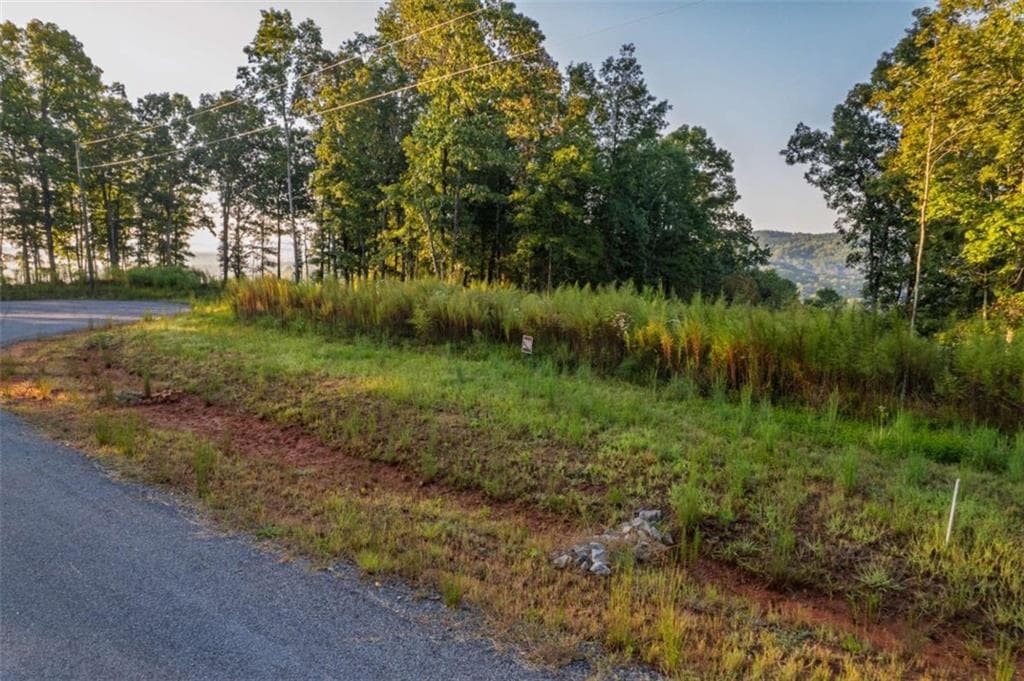 single family residence for sale at LT 290 Anglers Ridge Road, Talking Rock, GA 30175 — photo 9