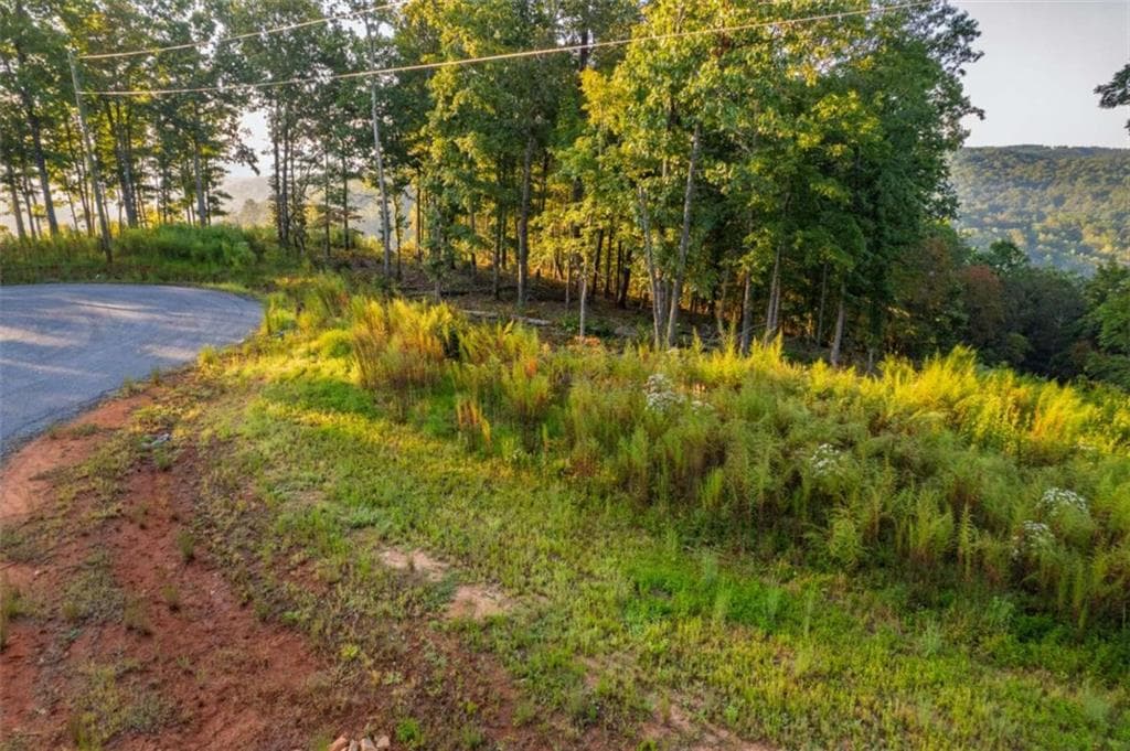 single family residence for sale at LT 290 Anglers Ridge Road, Talking Rock, GA 30175 — photo 10