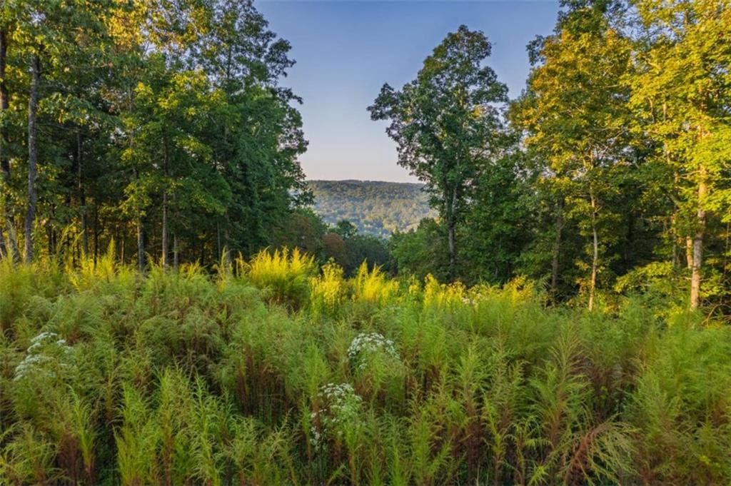 single family residence for sale at LT 290 Anglers Ridge Road, Talking Rock, GA 30175