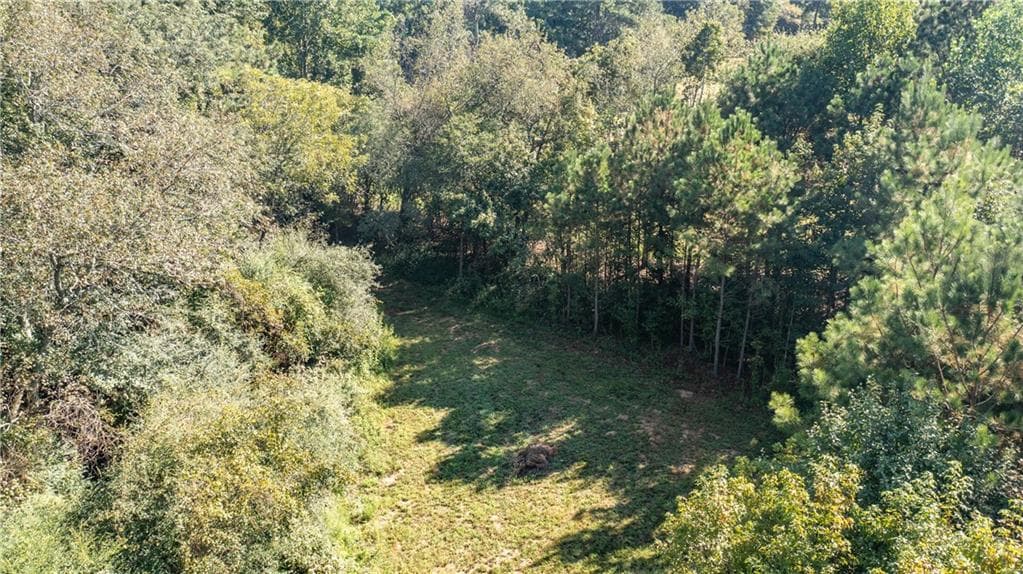unimproved land for sale at 0 Dahlonega Highway, Cumming, GA 30028 — photo 3