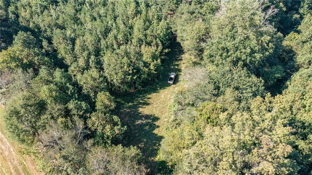 unimproved land for sale at 0 Dahlonega Highway, Cumming, GA 30028 — photo 4
