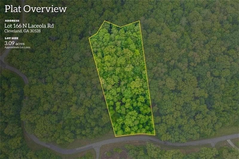 other for sale at 166 N Laceola Road, Cleveland, GA 30528