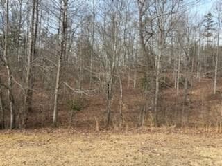 other for sale at 166 N Laceola Road, Cleveland, GA 30528 — photo 8