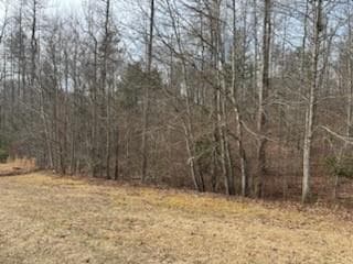 other for sale at 166 N Laceola Road, Cleveland, GA 30528 — photo 9