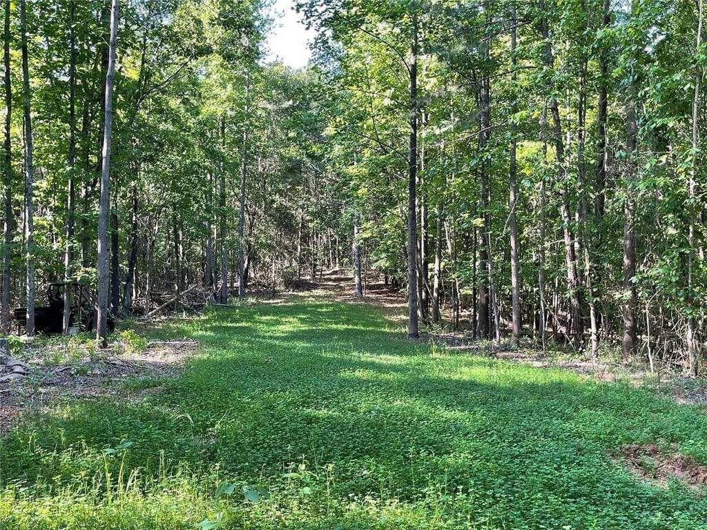 4 bedroom, 6 bathroom, 5,567 sq ft single family residence for sale at 55 Sweetwater Way, Lula, GA 30554 — photo 7