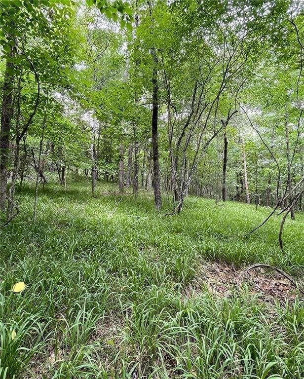 4 bedroom, 6 bathroom, 5,567 sq ft single family residence for sale at 55 Sweetwater Way, Lula, GA 30554 — photo 8