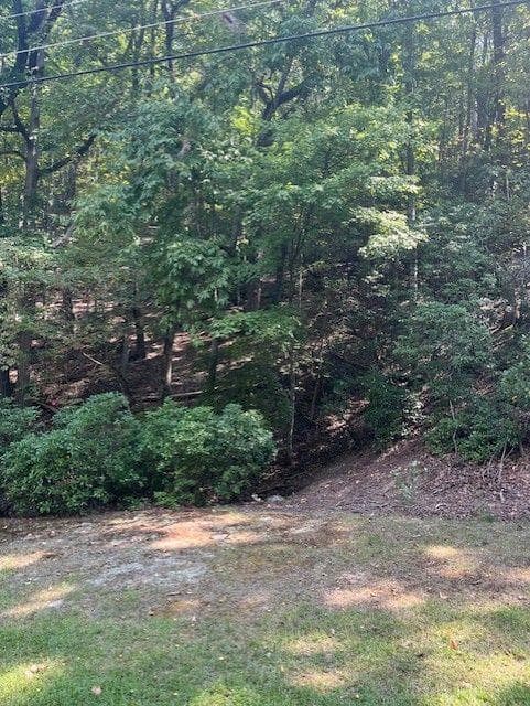 other for sale at 182 MORSE ELM Loop, Waleska, GA 30183