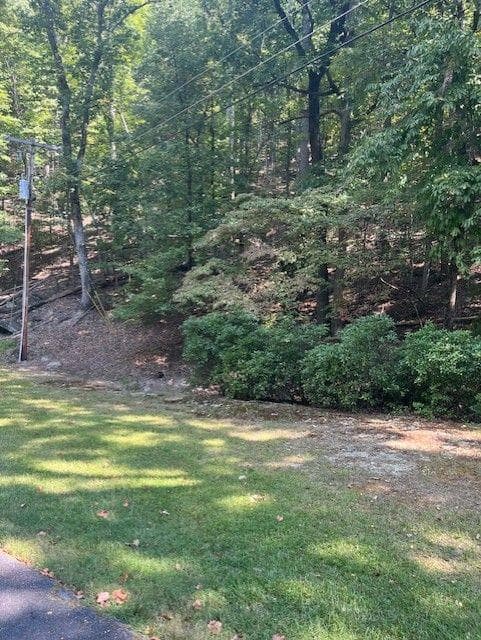 other for sale at 182 MORSE ELM Loop, Waleska, GA 30183 — photo 2