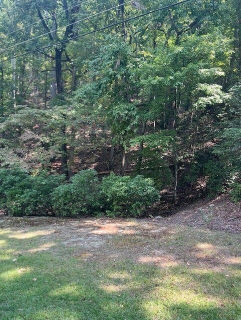 other for sale at 182 MORSE ELM Loop, Waleska, GA 30183 — photo 3