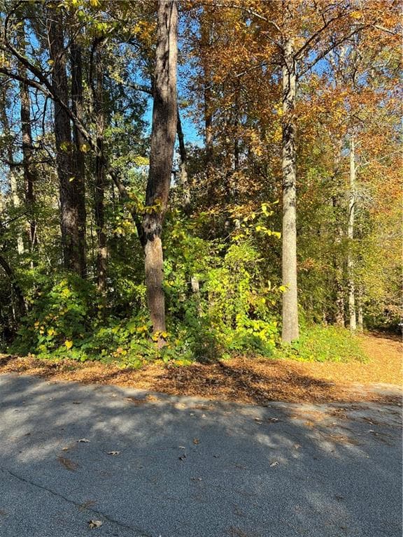 unimproved land for sale at 130 Valley Drive, Stockbridge, GA 30281