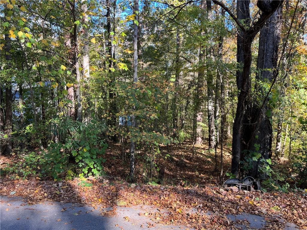 unimproved land for sale at 130 Valley Drive, Stockbridge, GA 30281 — photo 3