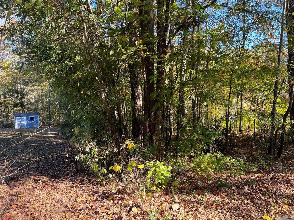 unimproved land for sale at 130 Valley Drive, Stockbridge, GA 30281 — photo 4