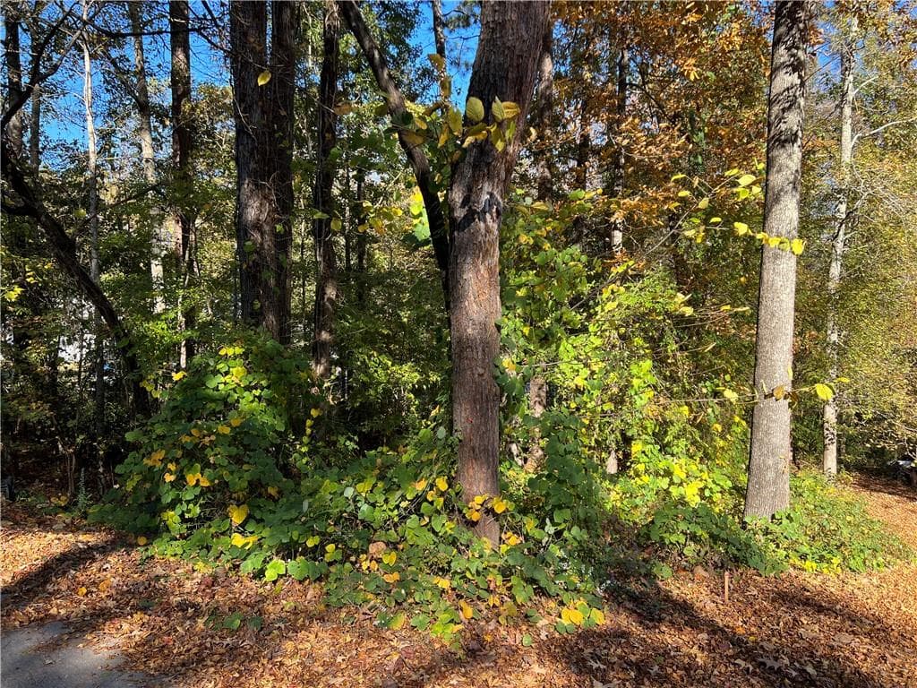 unimproved land for sale at 130 Valley Drive, Stockbridge, GA 30281 — photo 5