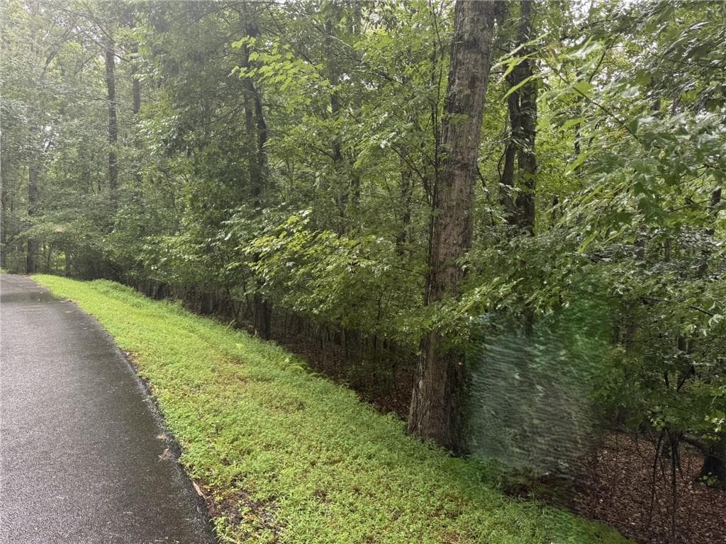 unimproved land for sale at 0 Enchanted Woods Drive, Blairsville, GA 30512 — photo 3