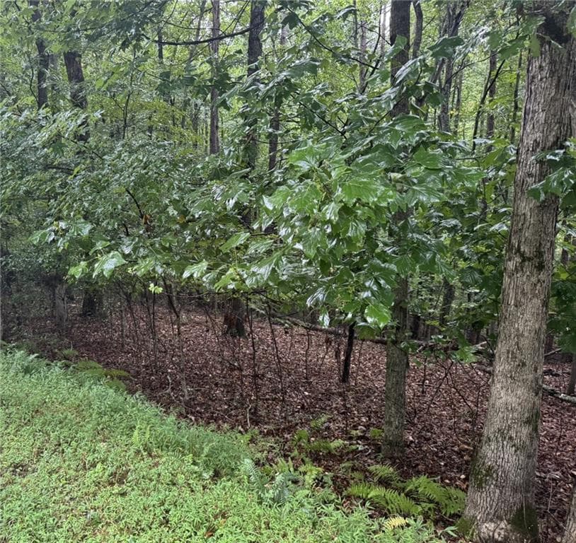 unimproved land for sale at 0 Enchanted Woods Drive, Blairsville, GA 30512 — photo 4