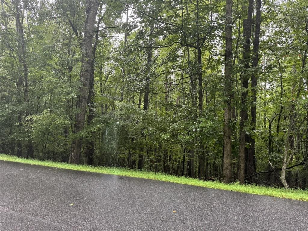 unimproved land for sale at 0 Enchanted Woods Drive, Blairsville, GA 30512 — photo 1 of 4
