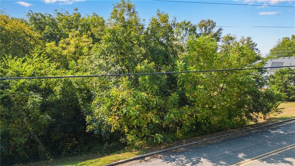 other for sale at 0 Reavis Street, Ball Ground, GA 30107 — photo 6