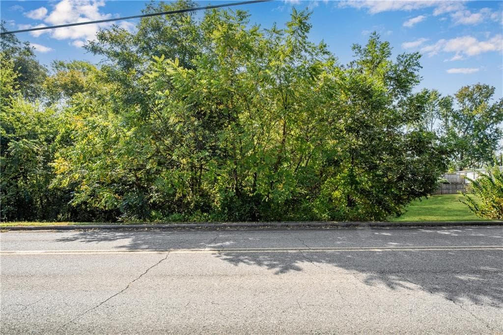 other for sale at 0 Reavis Street, Ball Ground, GA 30107 — photo 8
