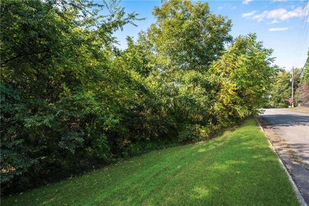 other for sale at 0 Reavis Street, Ball Ground, GA 30107 — photo 9