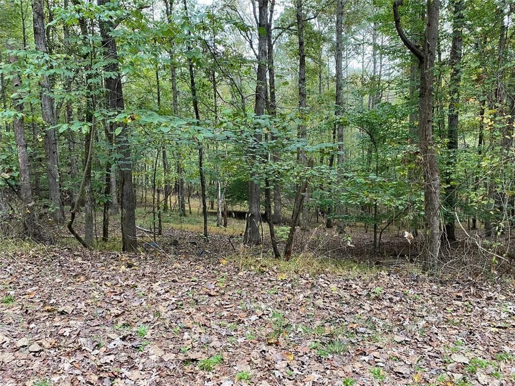 399 Buck Trail, Hoschton, GA 30548 — most recent listing photo