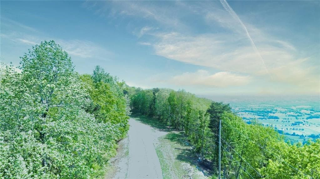 unimproved land for sale at 0 157 Highway, Menlo, GA 30731 — photo 5