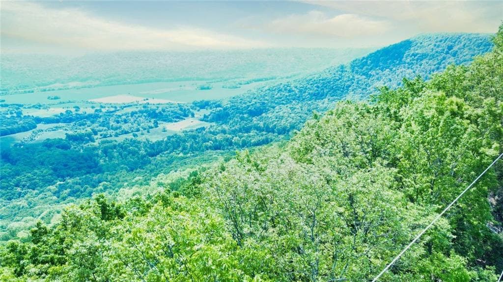 unimproved land for sale at 0 157 Highway, Menlo, GA 30731