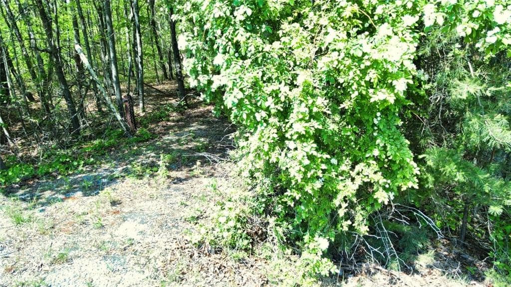 unimproved land for sale at 0 157 Highway, Menlo, GA 30731 — photo 4
