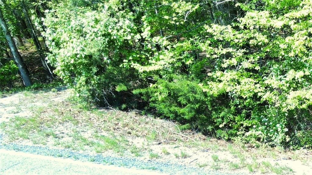unimproved land for sale at 0 157 Highway, Menlo, GA 30731 — photo 3
