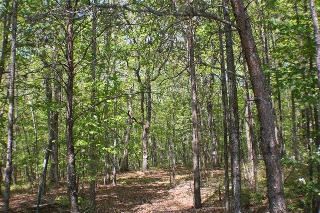 unimproved land for sale at 0 157 Highway, Menlo, GA 30731 — photo 6