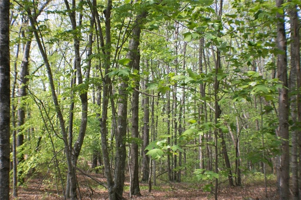unimproved land for sale at 0 157 Highway, Menlo, GA 30731 — photo 8