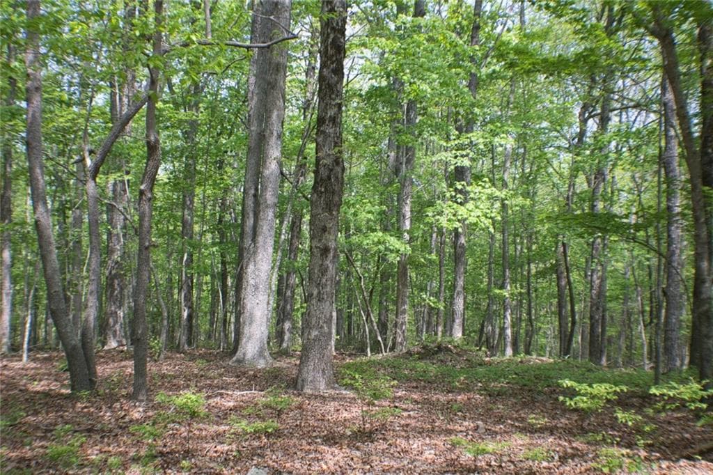 unimproved land for sale at 0 157 Highway, Menlo, GA 30731 — photo 7
