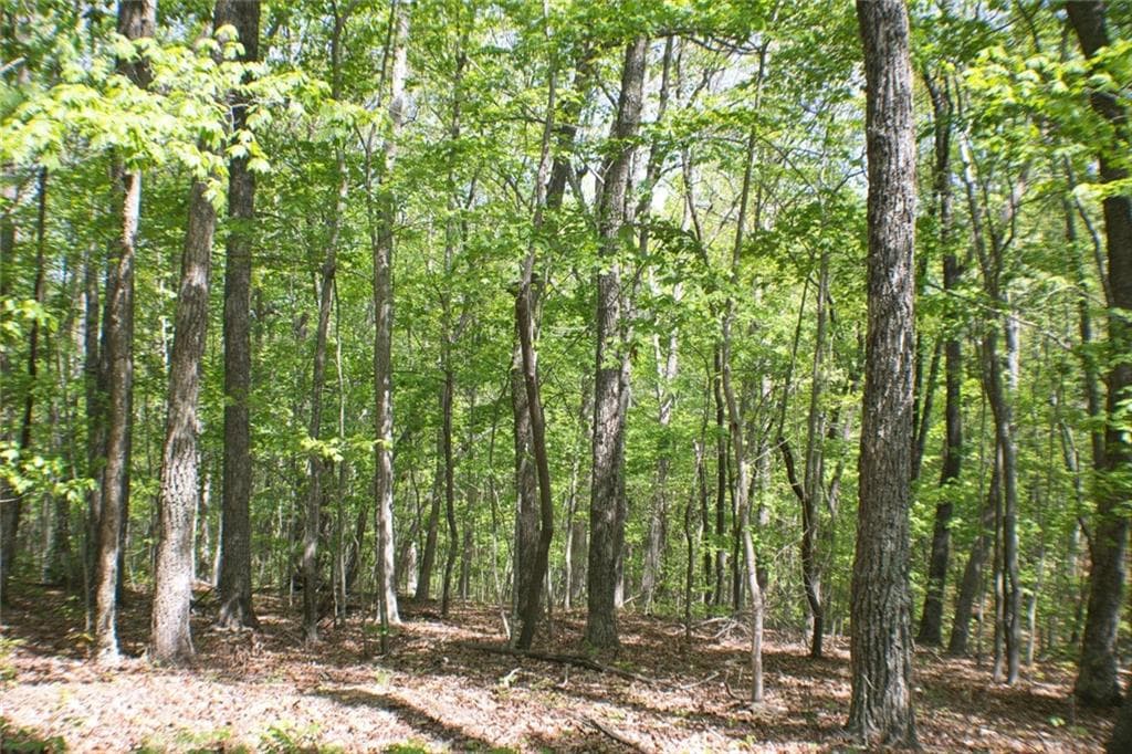 unimproved land for sale at 0 157 Highway, Menlo, GA 30731 — photo 10