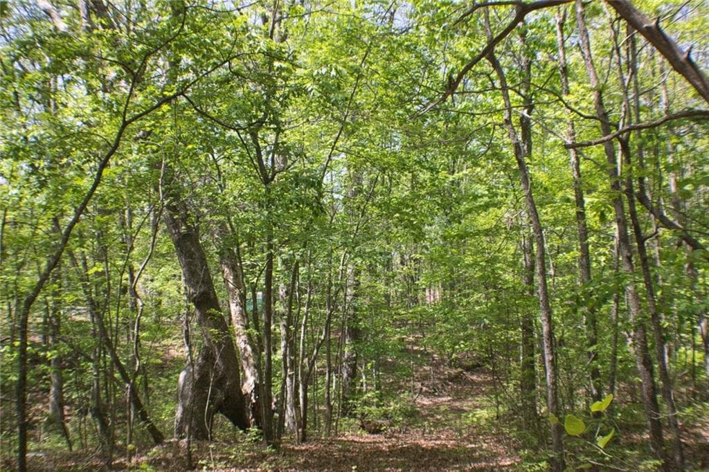 unimproved land for sale at 0 157 Highway, Menlo, GA 30731 — photo 9