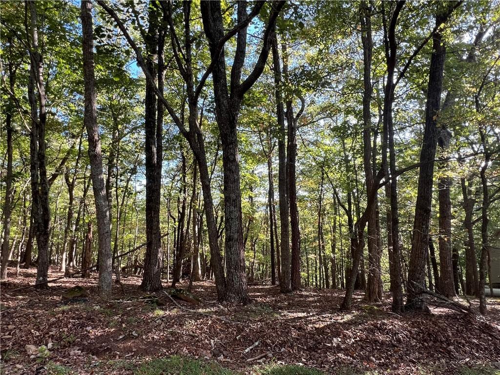 402 South View Trail, Jasper, GA 30143 — most recent listing photo