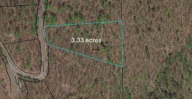 unimproved land for sale at 0 Mountainside Drive, Cleveland, GA 30528 — photo 1 of 14