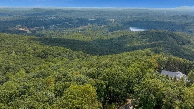 unimproved land for sale at 0 Mountainside Drive, Cleveland, GA 30528 — photo 3