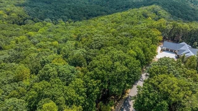 unimproved land for sale at 0 Mountainside Drive, Cleveland, GA 30528 — photo 4