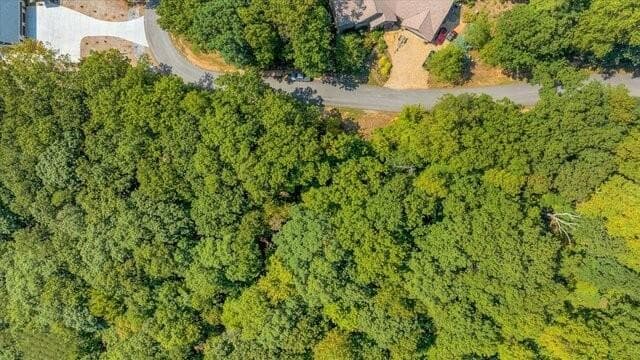 unimproved land for sale at 0 Mountainside Drive, Cleveland, GA 30528 — photo 5
