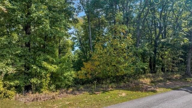 unimproved land for sale at 0 Mountainside Drive, Cleveland, GA 30528 — photo 6