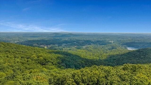 unimproved land for sale at 0 Mountainside Drive, Cleveland, GA 30528 — photo 7