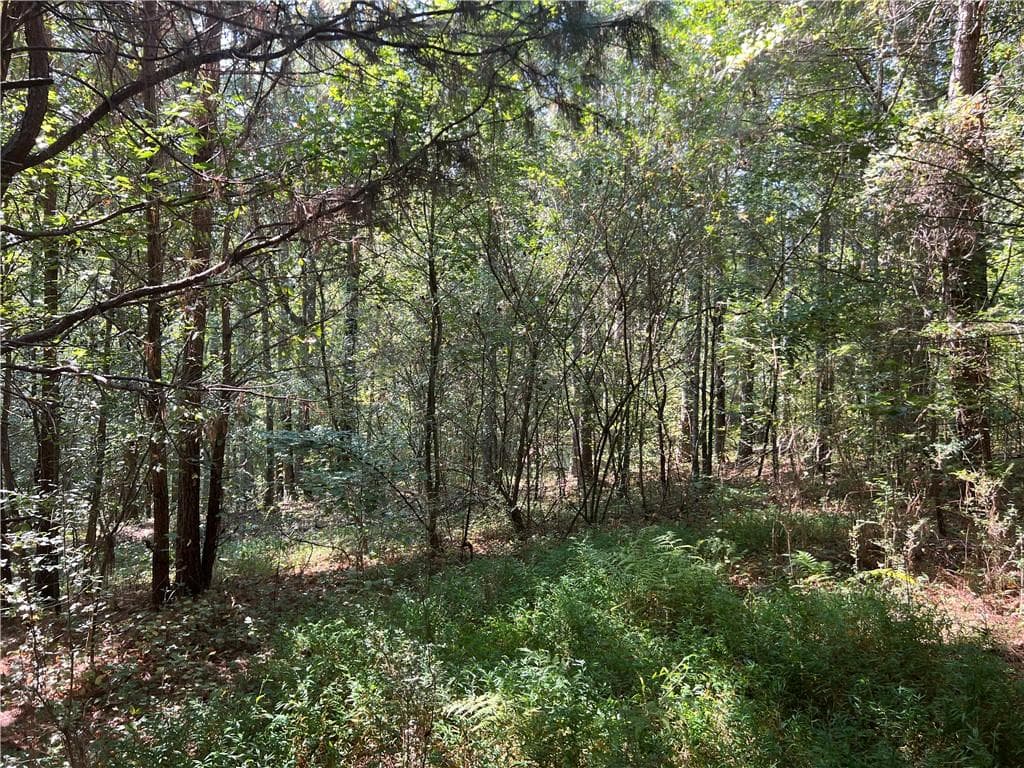 unimproved land for sale at 124 S Kelley Street, Tallapoosa, GA 30176