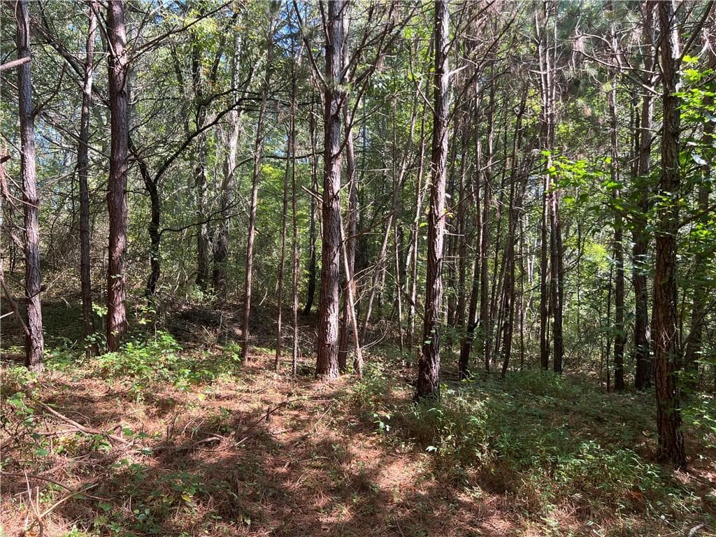 unimproved land for sale at 124 S Kelley Street, Tallapoosa, GA 30176 — photo 2